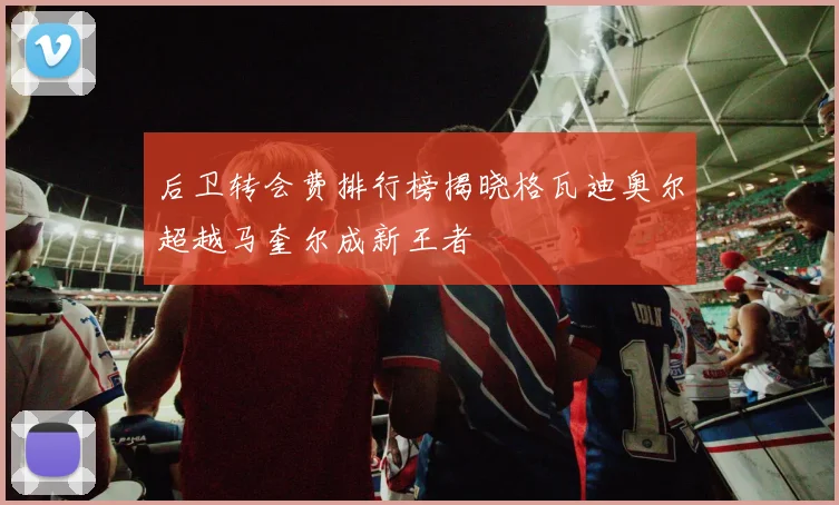 后卫转会费排行榜揭晓格瓦迪奥尔超越马奎尔成新王者